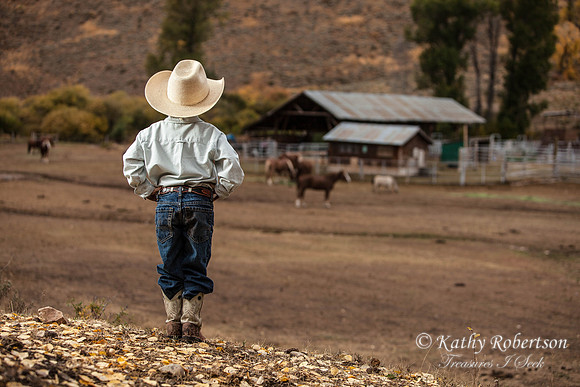 0033wheeldon2012