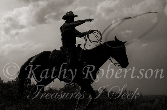 cowboy roping 2