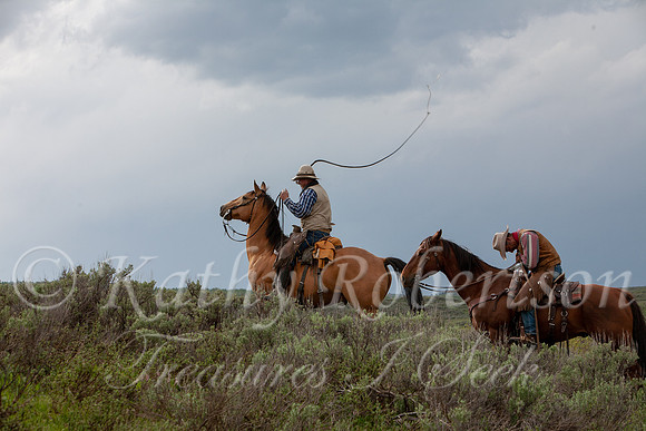 IMG_3075