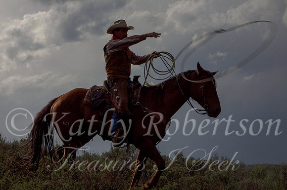 cowboy roping 2-2