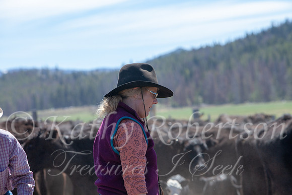 campbellbranding-0029