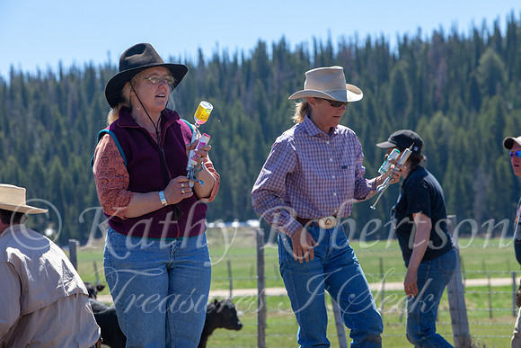 campbellbranding-0032