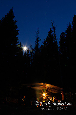 0233packtrip2013