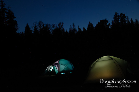 0235packtrip2013