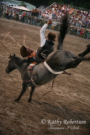TC_Fair-3001