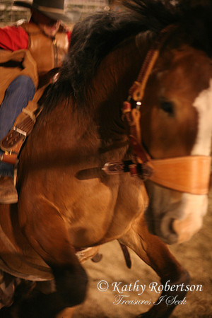 TC_Fair-3081