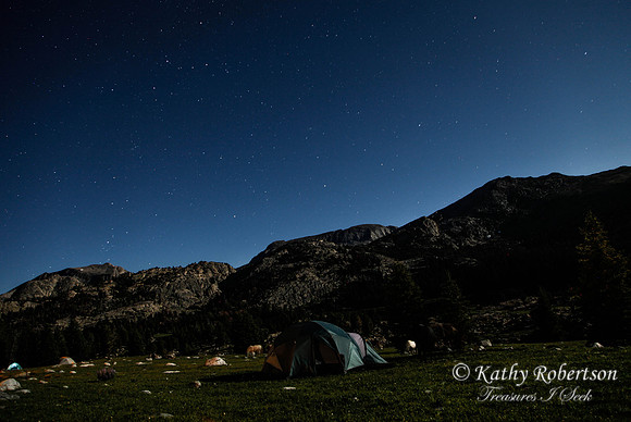 0008packtrip2011