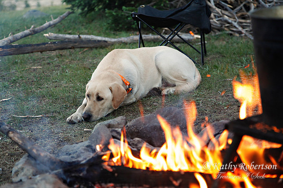 0090packtrip2011