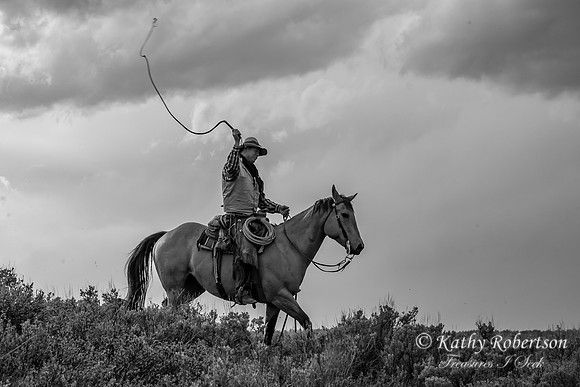 IMG_3108